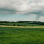 The Power of Self-Reflection: How to Grow Through Life’s Challenges