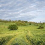 5 Essential Life Skills to Teach Your Children Early On