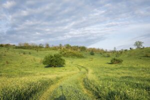 Read more about the article 5 Essential Life Skills to Teach Your Children Early On