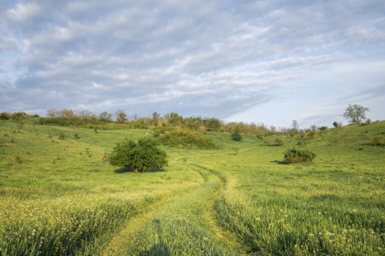 5 Essential Life Skills to Teach Your Children Early On