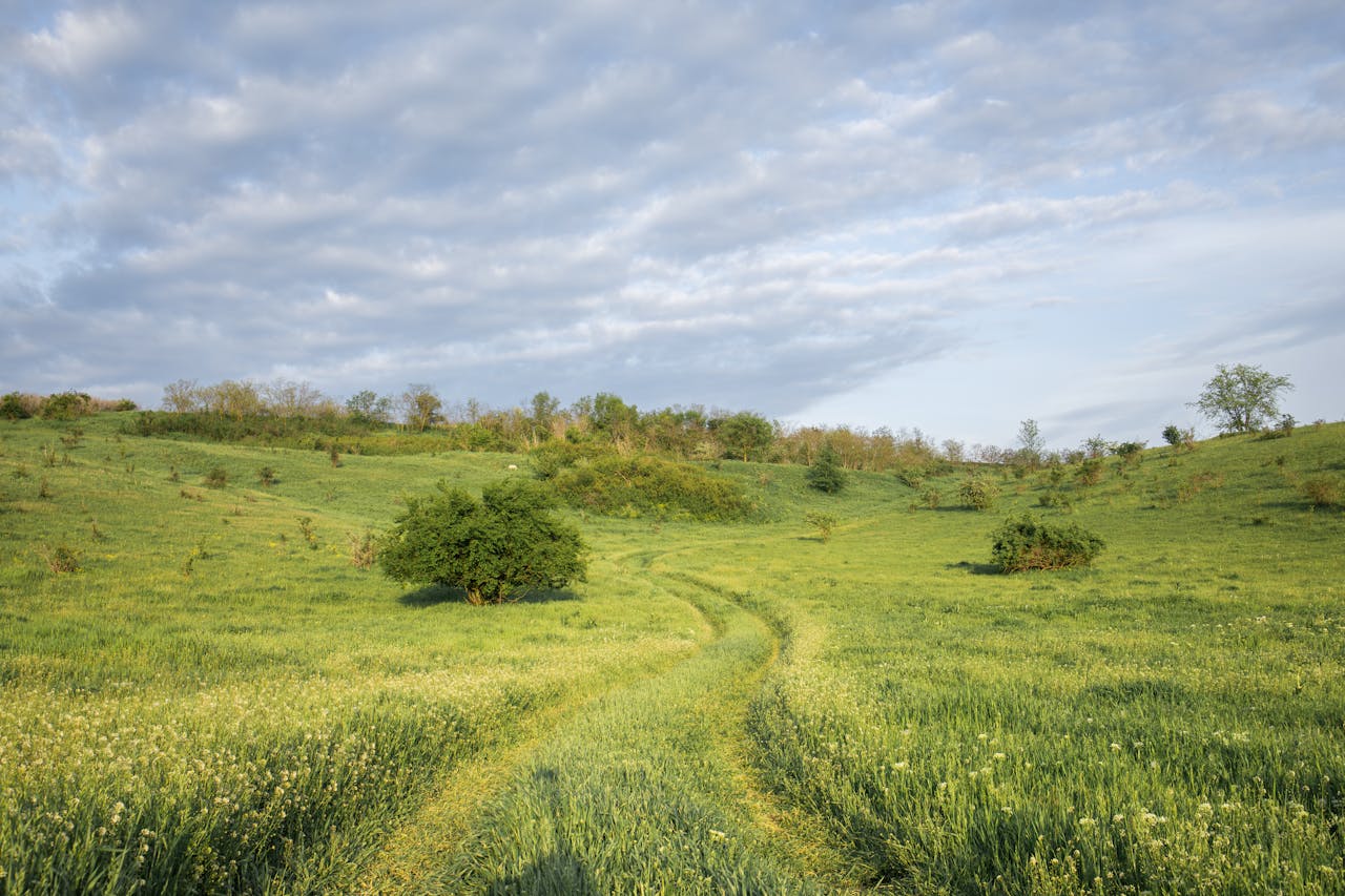 Read more about the article 5 Essential Life Skills to Teach Your Children Early On