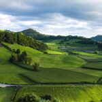 The Role of Christian Education in Shaping Values and Character